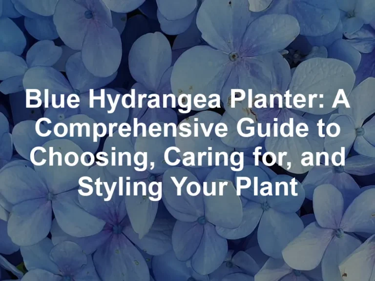 Featured image for Blue Hydrangea Planter: A Comprehensive Guide to Choosing, Caring for, and Styling Your Plant