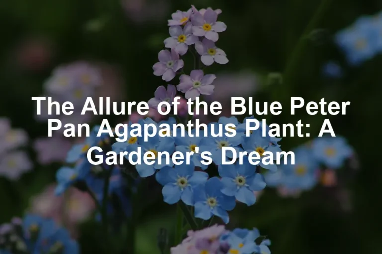 Featured image for The Allure of the Blue Peter Pan Agapanthus Plant: A Gardener's Dream