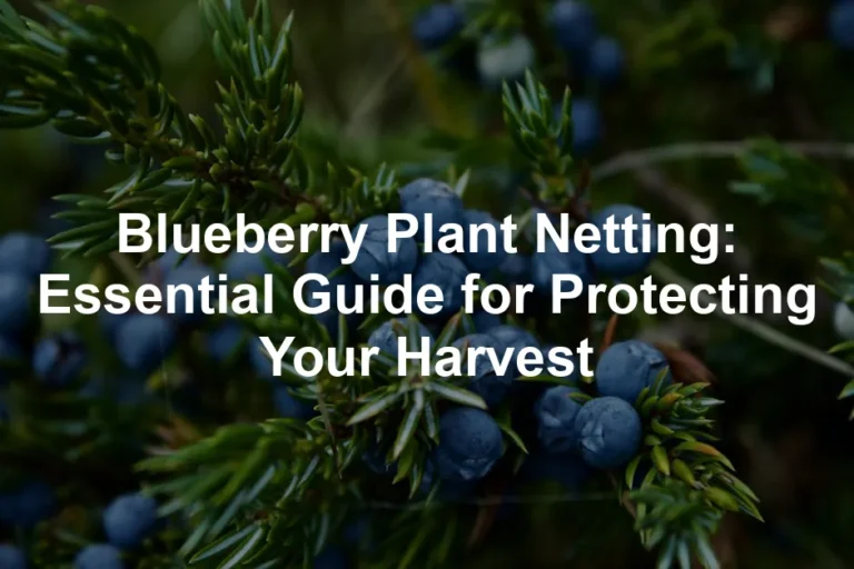 Featured image for Blueberry Plant Netting: Essential Guide for Protecting Your Harvest