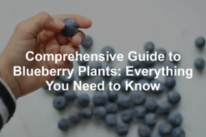 Featured image for Comprehensive Guide to Blueberry Plants: Everything You Need to Know