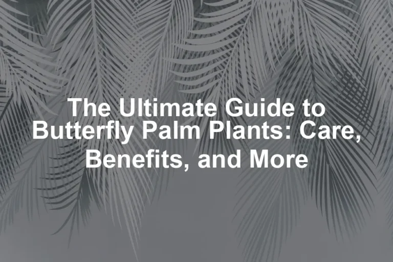 Featured image for The Ultimate Guide to Butterfly Palm Plants: Care, Benefits, and More