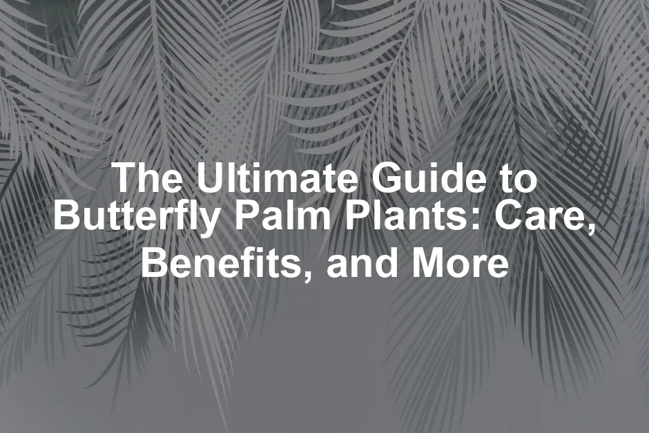 Featured image for The Ultimate Guide to Butterfly Palm Plants: Care, Benefits, and More