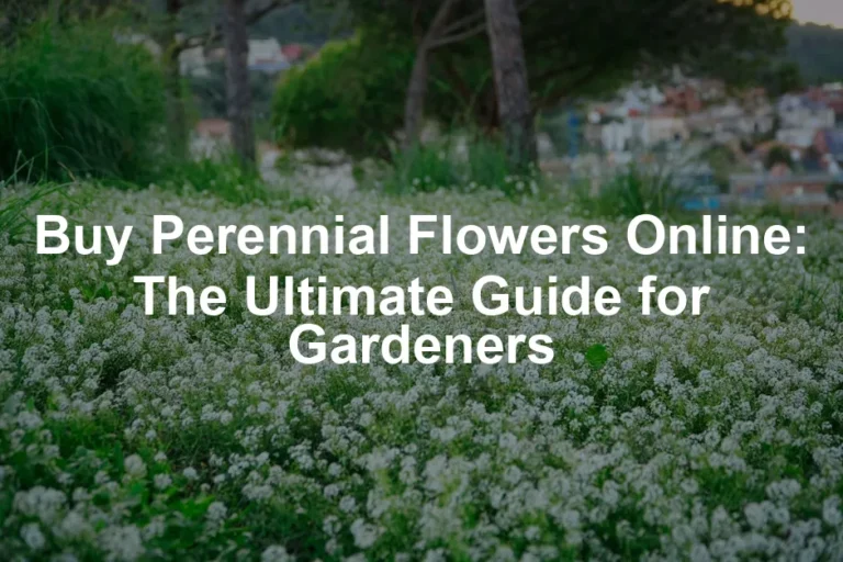 Featured image for Buy Perennial Flowers Online: The Ultimate Guide for Gardeners