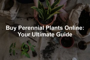 Featured image for Buy Perennial Plants Online: Your Ultimate Guide