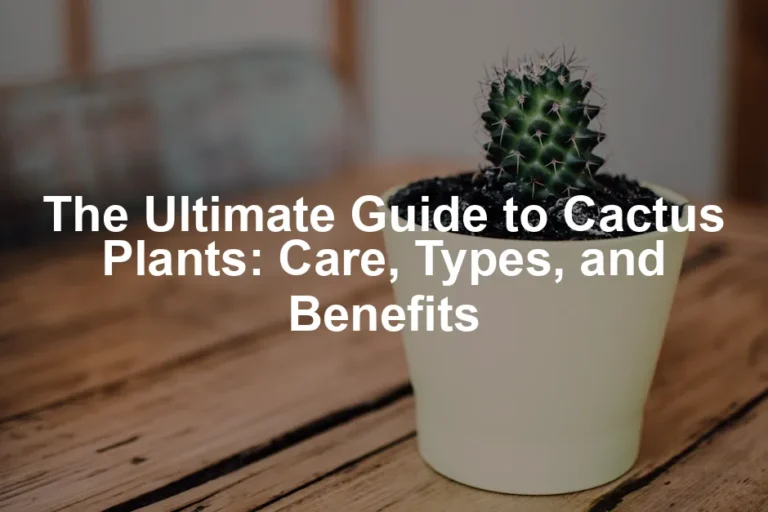 Featured image for The Ultimate Guide to Cactus Plants: Care, Types, and Benefits