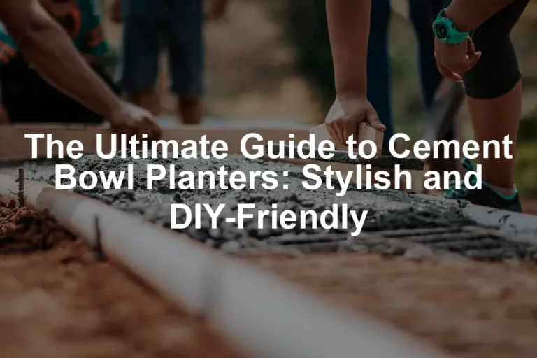 Featured image for The Ultimate Guide to Cement Bowl Planters: Stylish and DIY-Friendly