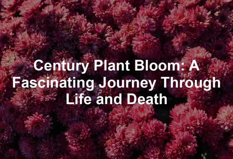 Featured image for Century Plant Bloom: A Fascinating Journey Through Life and Death