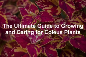 Featured image for The Ultimate Guide to Growing and Caring for Coleus Plants