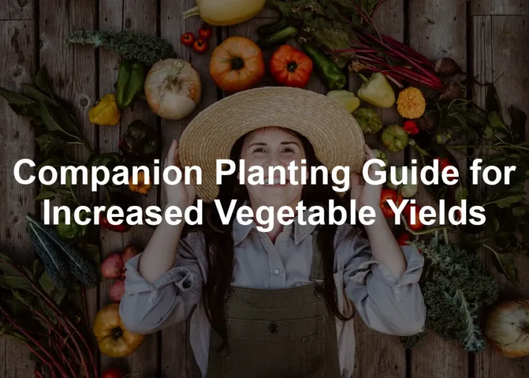 Featured image for Companion Planting Guide for Increased Vegetable Yields