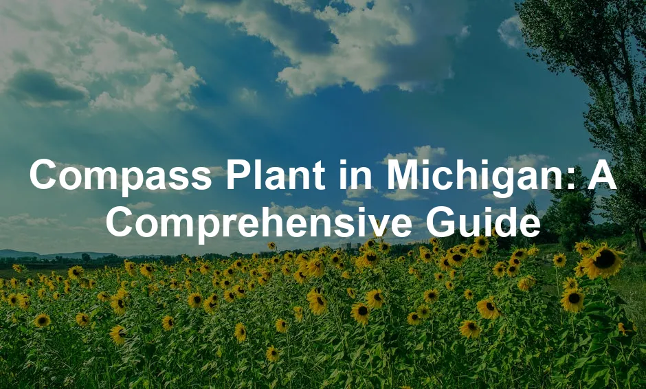 Featured image for Compass Plant in Michigan: A Comprehensive Guide