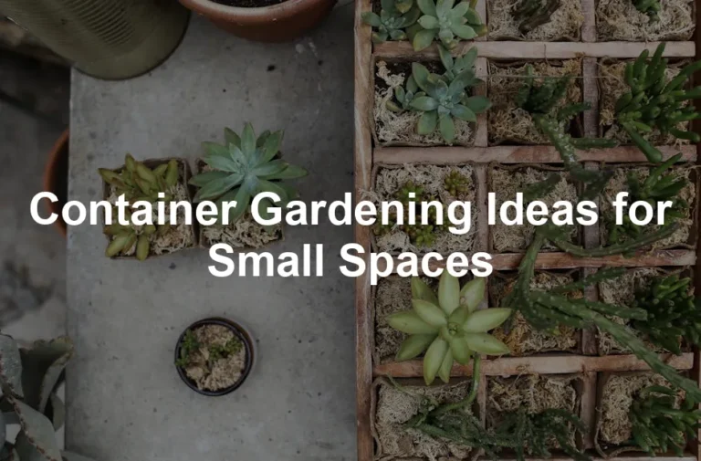 Featured image for Container Gardening Ideas for Small Spaces