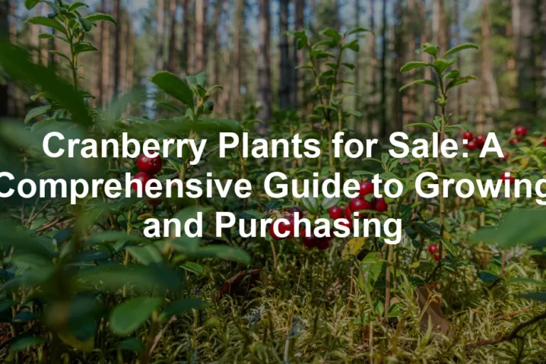Featured image for Cranberry Plants for Sale: A Comprehensive Guide to Growing and Purchasing
