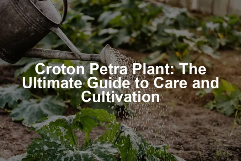 Featured image for Croton Petra Plant: The Ultimate Guide to Care and Cultivation