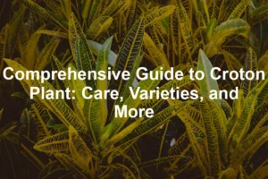Featured image for Comprehensive Guide to Croton Plant: Care, Varieties, and More