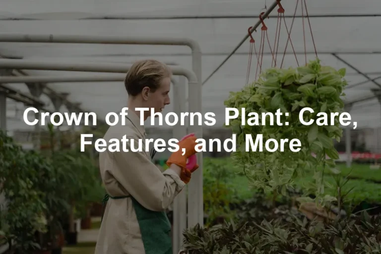 Featured image for Crown of Thorns Plant: Care, Features, and More