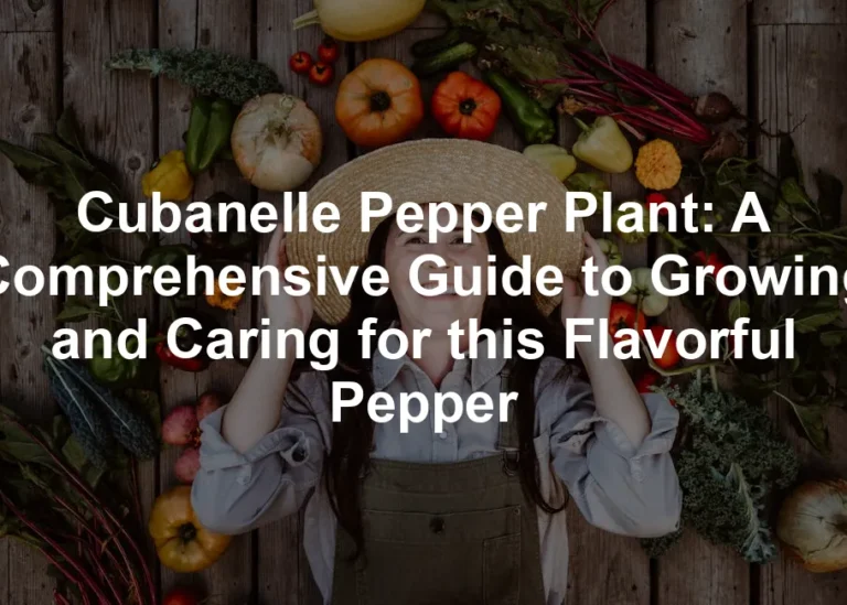 Featured image for Cubanelle Pepper Plant: A Comprehensive Guide to Growing and Caring for this Flavorful Pepper