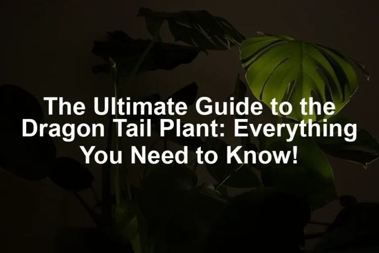 Featured image for The Ultimate Guide to the Dragon Tail Plant: Everything You Need to Know!