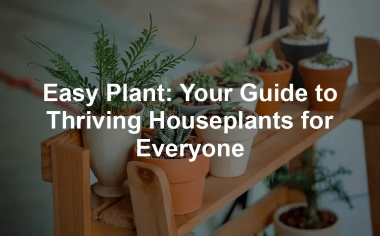 Featured image for Easy Plant: Your Guide to Thriving Houseplants for Everyone