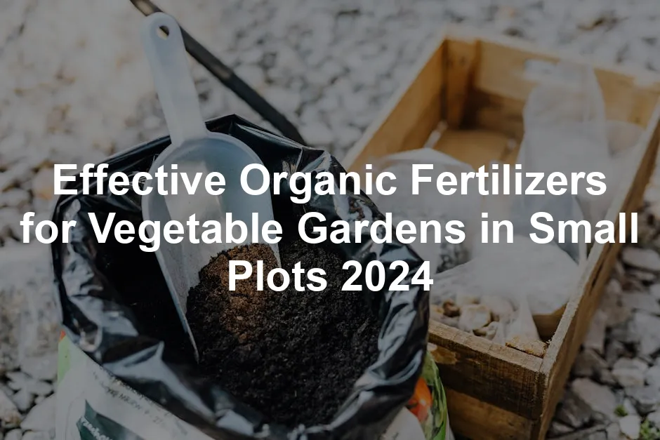 Featured image for Effective Organic Fertilizers for Vegetable Gardens in Small Plots 2024