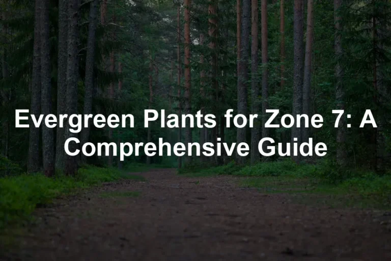 Featured image for Evergreen Plants for Zone 7: A Comprehensive Guide