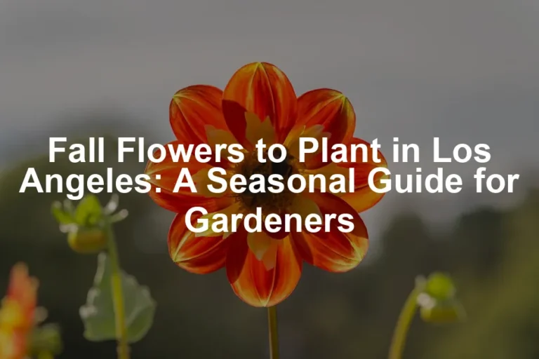 Featured image for Fall Flowers to Plant in Los Angeles: A Seasonal Guide for Gardeners