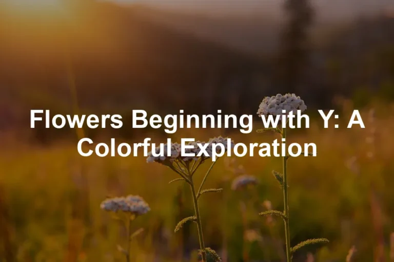 Featured image for Flowers Beginning with Y: A Colorful Exploration