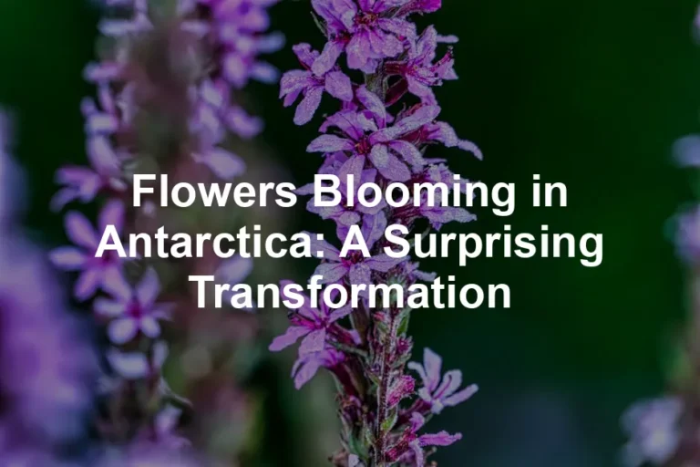 Featured image for Flowers Blooming in Antarctica: A Surprising Transformation