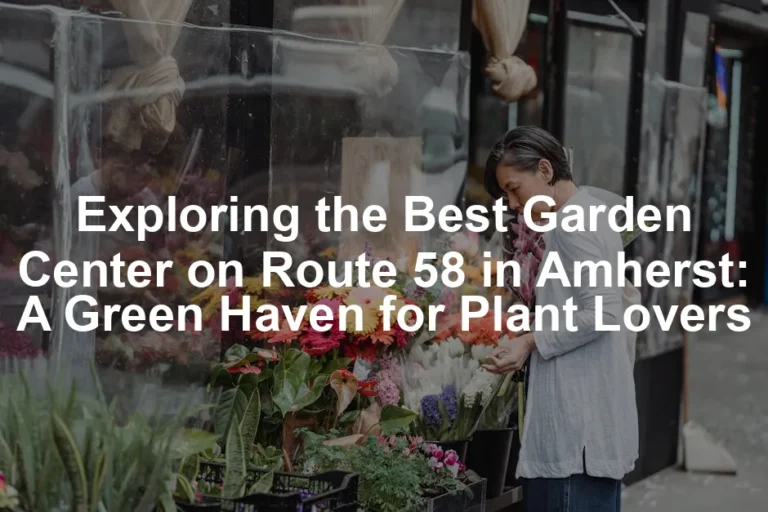 Featured image for Exploring the Best Garden Center on Route 58 in Amherst: A Green Haven for Plant Lovers