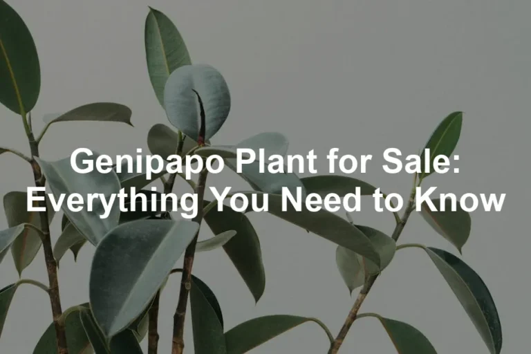 Featured image for Genipapo Plant for Sale: Everything You Need to Know