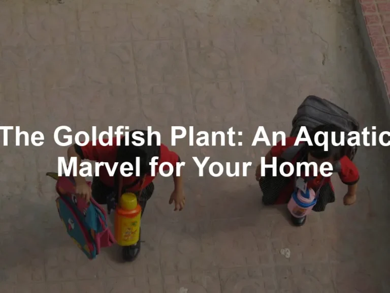 Featured image for The Goldfish Plant: An Aquatic Marvel for Your Home