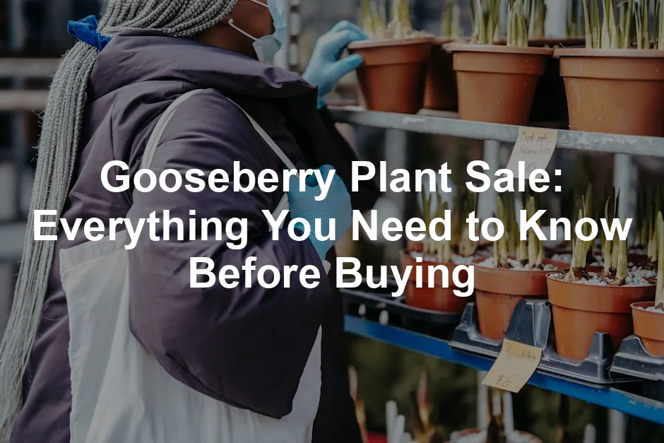 Featured image for Gooseberry Plant Sale: Everything You Need to Know Before Buying