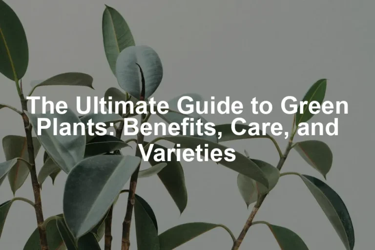 Featured image for The Ultimate Guide to Green Plants: Benefits, Care, and Varieties