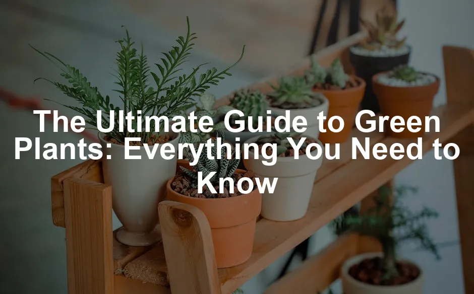Featured image for The Ultimate Guide to Green Plants: Everything You Need to Know