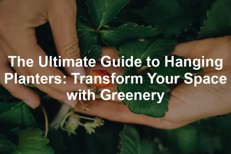 Featured image for The Ultimate Guide to Hanging Planters: Transform Your Space with Greenery