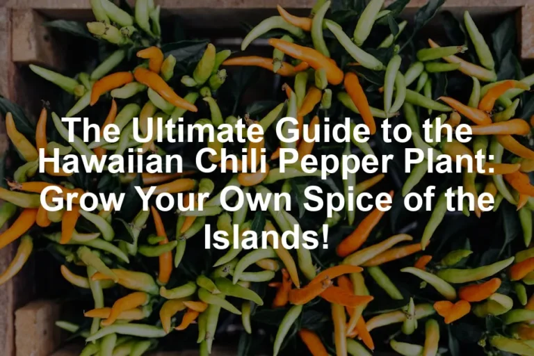 Featured image for The Ultimate Guide to the Hawaiian Chili Pepper Plant: Grow Your Own Spice of the Islands!