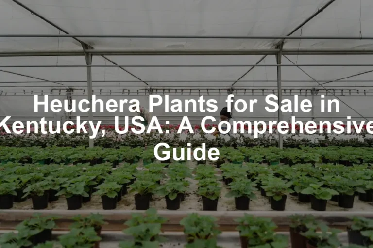 Featured image for Heuchera Plants for Sale in Kentucky, USA: A Comprehensive Guide