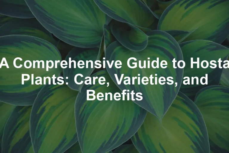 Featured image for A Comprehensive Guide to Hosta Plants: Care, Varieties, and Benefits