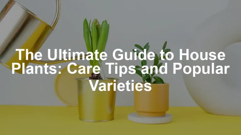 Featured image for The Ultimate Guide to House Plants: Care Tips and Popular Varieties