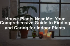 Featured image for House Plants Near Me: Your Comprehensive Guide to Finding and Caring for Indoor Plants