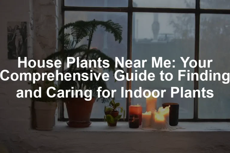 Featured image for House Plants Near Me: Your Comprehensive Guide to Finding and Caring for Indoor Plants