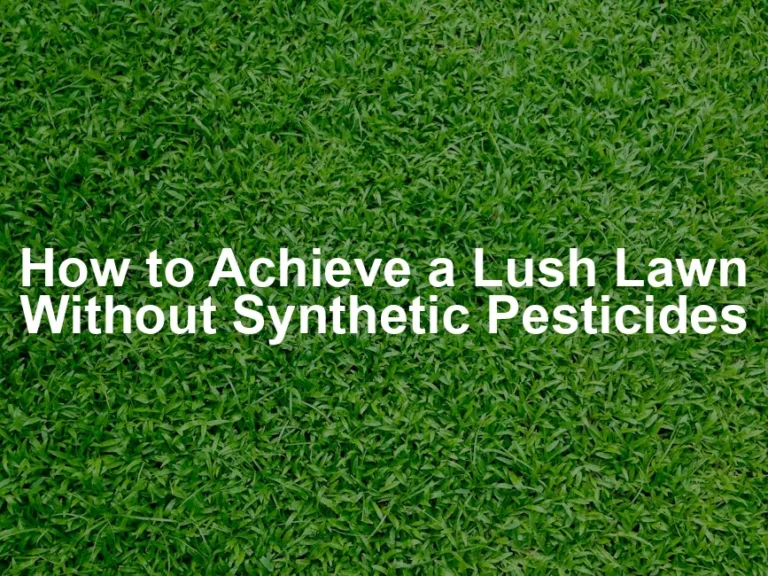 Featured image for How to Achieve a Lush Lawn Without Synthetic Pesticides