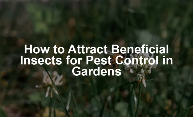 Featured image for How to Attract Beneficial Insects for Pest Control in Gardens