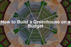 Featured image for How to Build a Greenhouse on a Budget