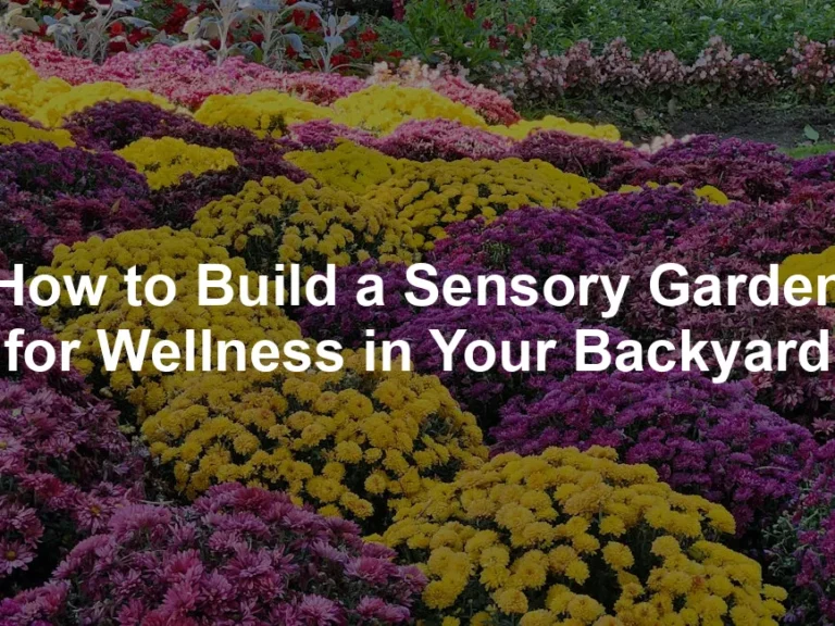 Featured image for How to Build a Sensory Garden for Wellness in Your Backyard