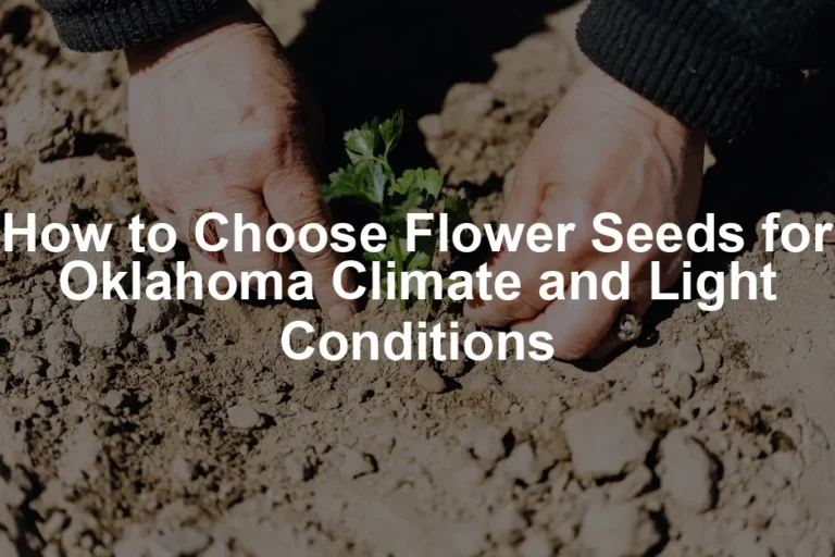 Featured image for How to Choose Flower Seeds for Oklahoma Climate and Light Conditions