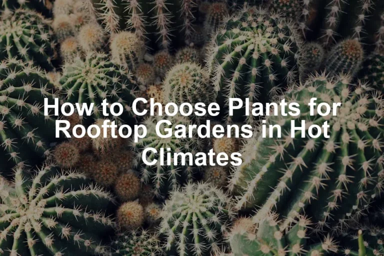 Featured image for How to Choose Plants for Rooftop Gardens in Hot Climates