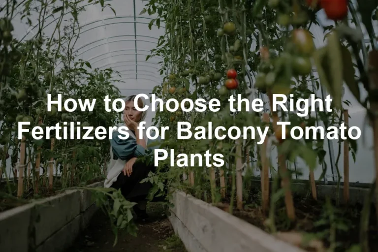 Featured image for How to Choose the Right Fertilizers for Balcony Tomato Plants