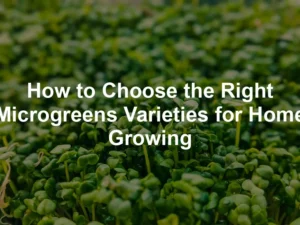 Featured image for How to Choose the Right Microgreens Varieties for Home Growing