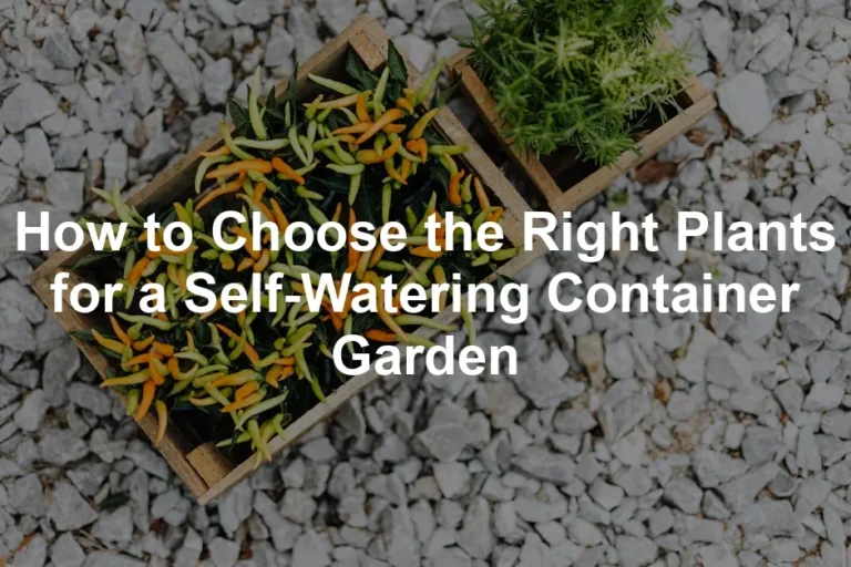 Featured image for How to Choose the Right Plants for a Self-Watering Container Garden