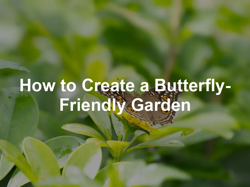 Featured image for How to Create a Butterfly-Friendly Garden